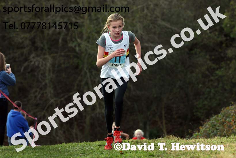 Girls under-13s 2017 Start Fitness North Eastern Harrier League, Aykley Heads, Durham. Photo:  David T. Hewitson/Sports for All Pics